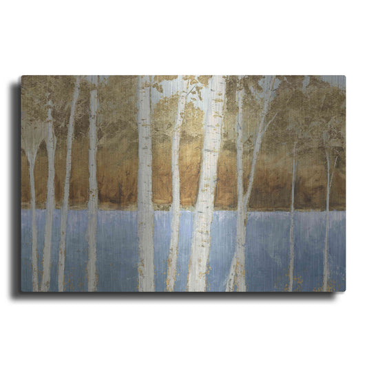 Luxe Metal Art 'Lakeside Birches' by James Wiens, Metal Wall Art