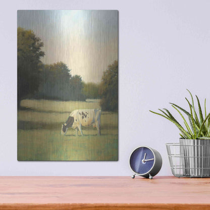 Luxe Metal Art 'Morning Meadows I' by James Wiens, Metal Wall Art,12x16