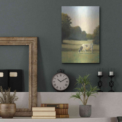 Luxe Metal Art 'Morning Meadows I' by James Wiens, Metal Wall Art,12x16