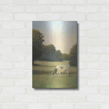 Luxe Metal Art 'Morning Meadows I' by James Wiens, Metal Wall Art,16x24