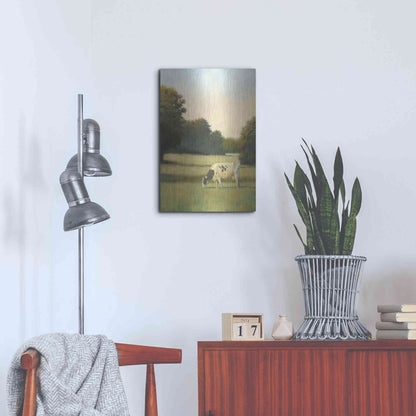 Luxe Metal Art 'Morning Meadows I' by James Wiens, Metal Wall Art,16x24