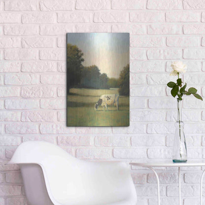 Luxe Metal Art 'Morning Meadows I' by James Wiens, Metal Wall Art,16x24