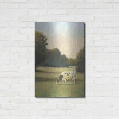 Luxe Metal Art 'Morning Meadows I' by James Wiens, Metal Wall Art,24x36