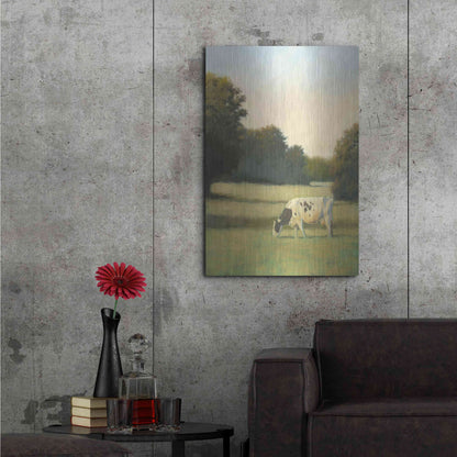 Luxe Metal Art 'Morning Meadows I' by James Wiens, Metal Wall Art,24x36