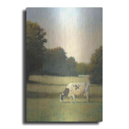 Luxe Metal Art 'Morning Meadows I' by James Wiens, Metal Wall Art