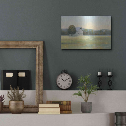 Luxe Metal Art 'Morning Meadows II' by James Wiens, Metal Wall Art,16x12