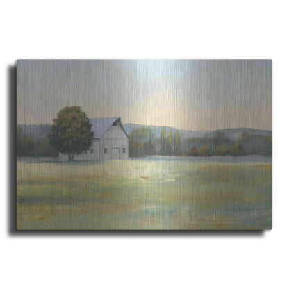 Luxe Metal Art 'Morning Meadows II' by James Wiens, Metal Wall Art
