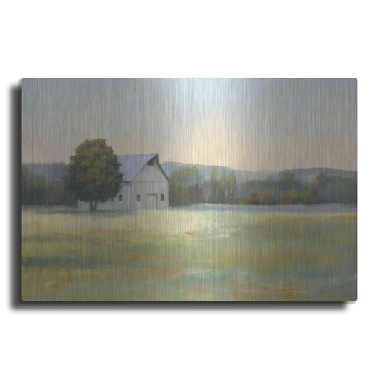 Luxe Metal Art 'Morning Meadows II' by James Wiens, Metal Wall Art