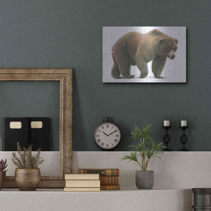 Luxe Metal Art 'Northern Wild I' by James Wiens, Metal Wall Art,16x12