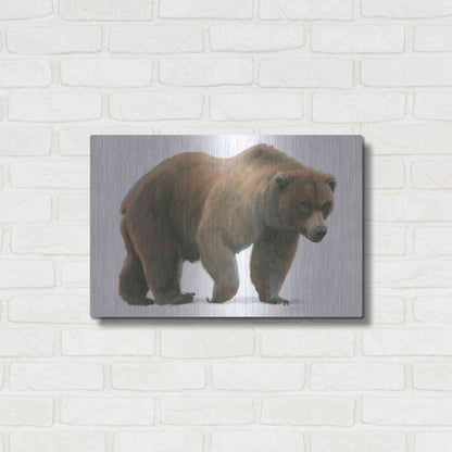 Luxe Metal Art 'Northern Wild I' by James Wiens, Metal Wall Art,24x16