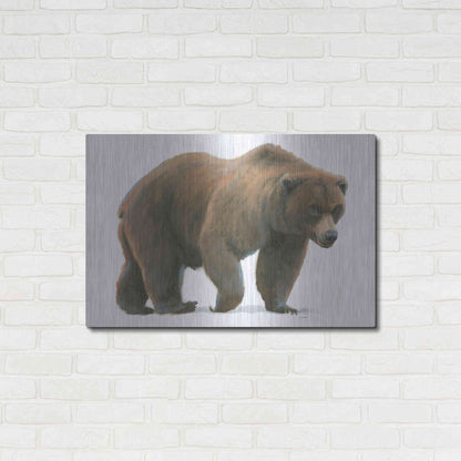 Luxe Metal Art 'Northern Wild I' by James Wiens, Metal Wall Art,36x24