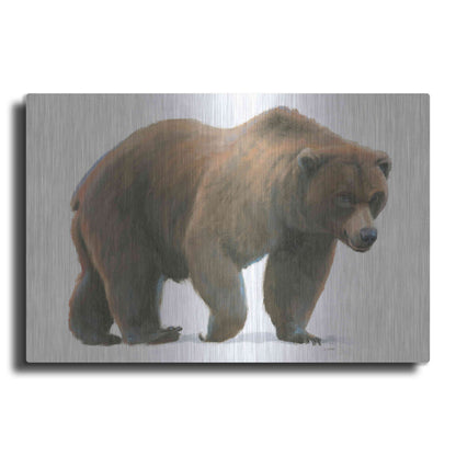 Luxe Metal Art 'Northern Wild I' by James Wiens, Metal Wall Art
