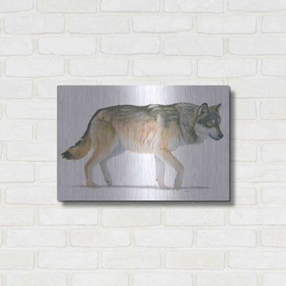Luxe Metal Art 'Northern Wild II' by James Wiens, Metal Wall Art,24x16