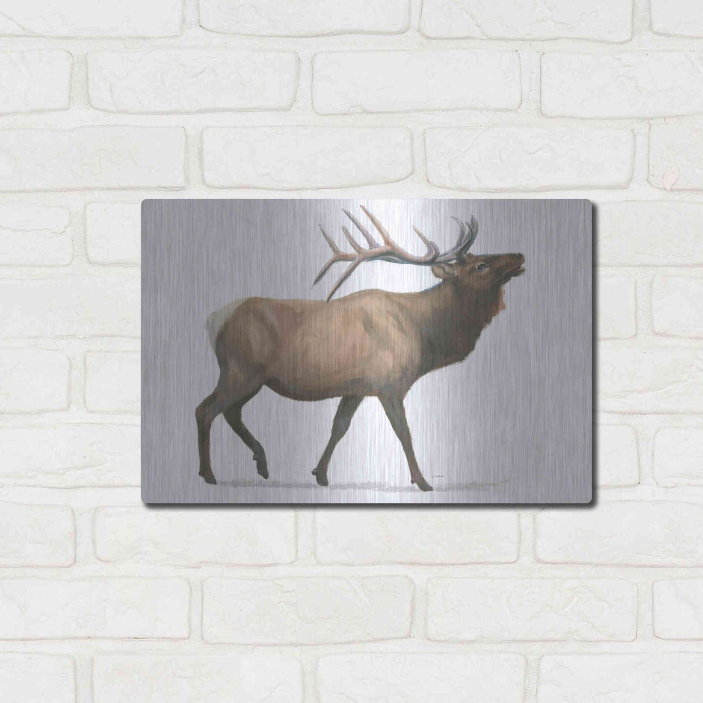 Luxe Metal Art 'Northern Wild III' by James Wiens, Metal Wall Art,16x12