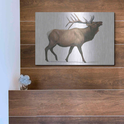 Luxe Metal Art 'Northern Wild III' by James Wiens, Metal Wall Art,16x12