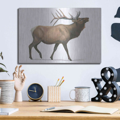 Luxe Metal Art 'Northern Wild III' by James Wiens, Metal Wall Art,16x12