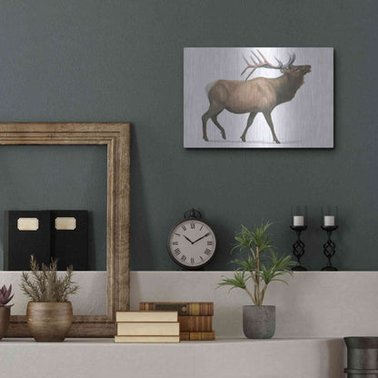 Luxe Metal Art 'Northern Wild III' by James Wiens, Metal Wall Art,16x12