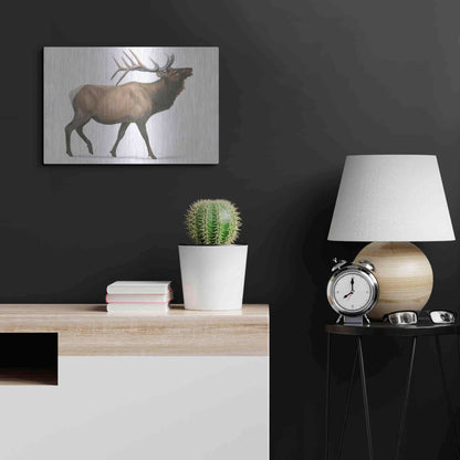 Luxe Metal Art 'Northern Wild III' by James Wiens, Metal Wall Art,24x16