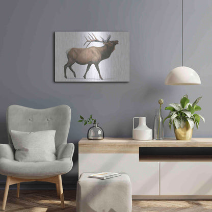 Luxe Metal Art 'Northern Wild III' by James Wiens, Metal Wall Art,24x16