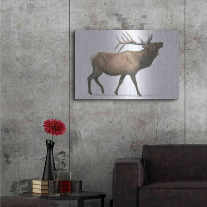 Luxe Metal Art 'Northern Wild III' by James Wiens, Metal Wall Art,36x24