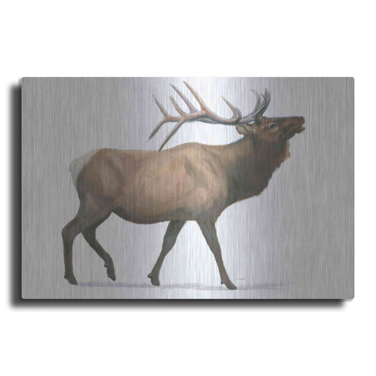 Luxe Metal Art 'Northern Wild III' by James Wiens, Metal Wall Art
