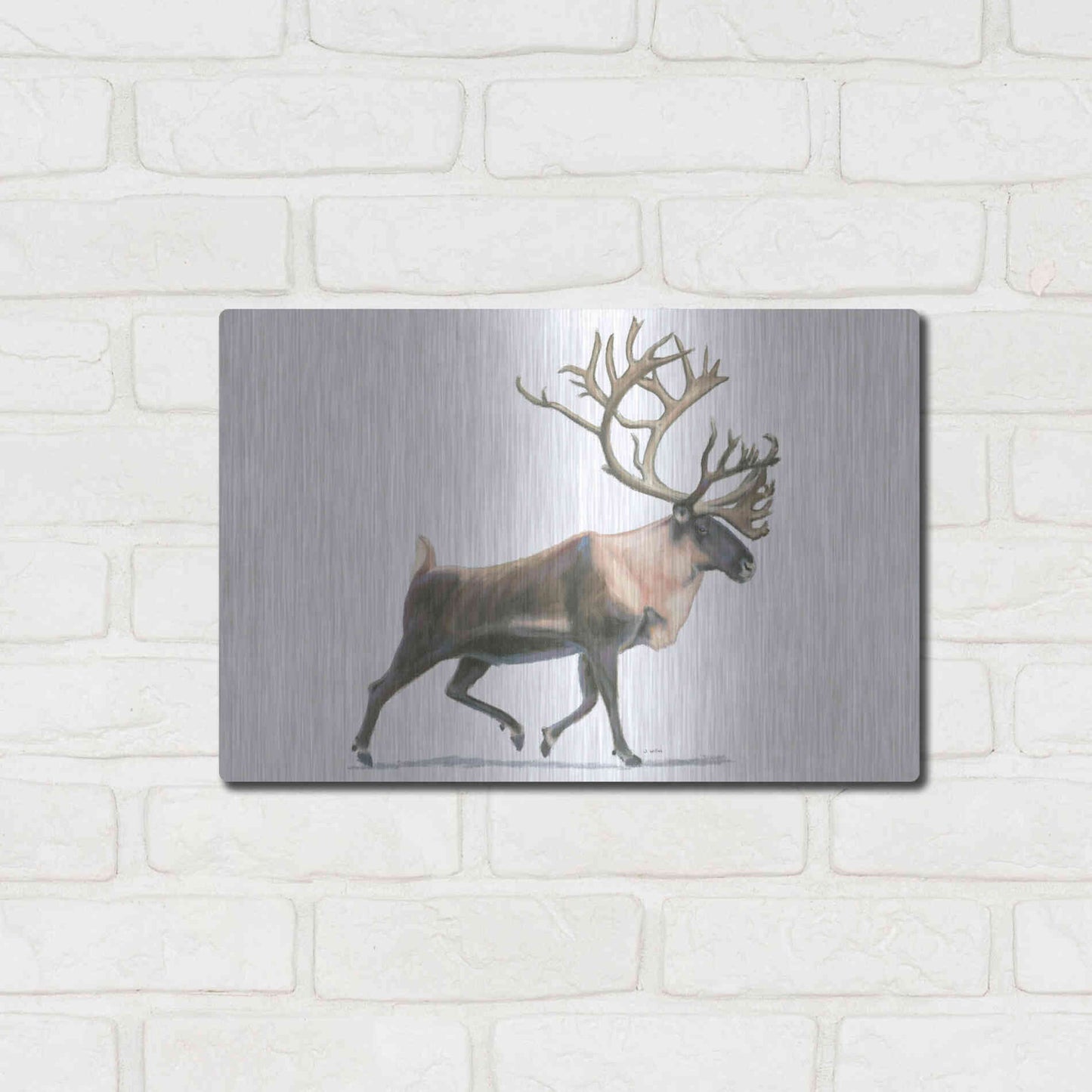 Luxe Metal Art 'Northern Wild IV' by James Wiens, Metal Wall Art,16x12