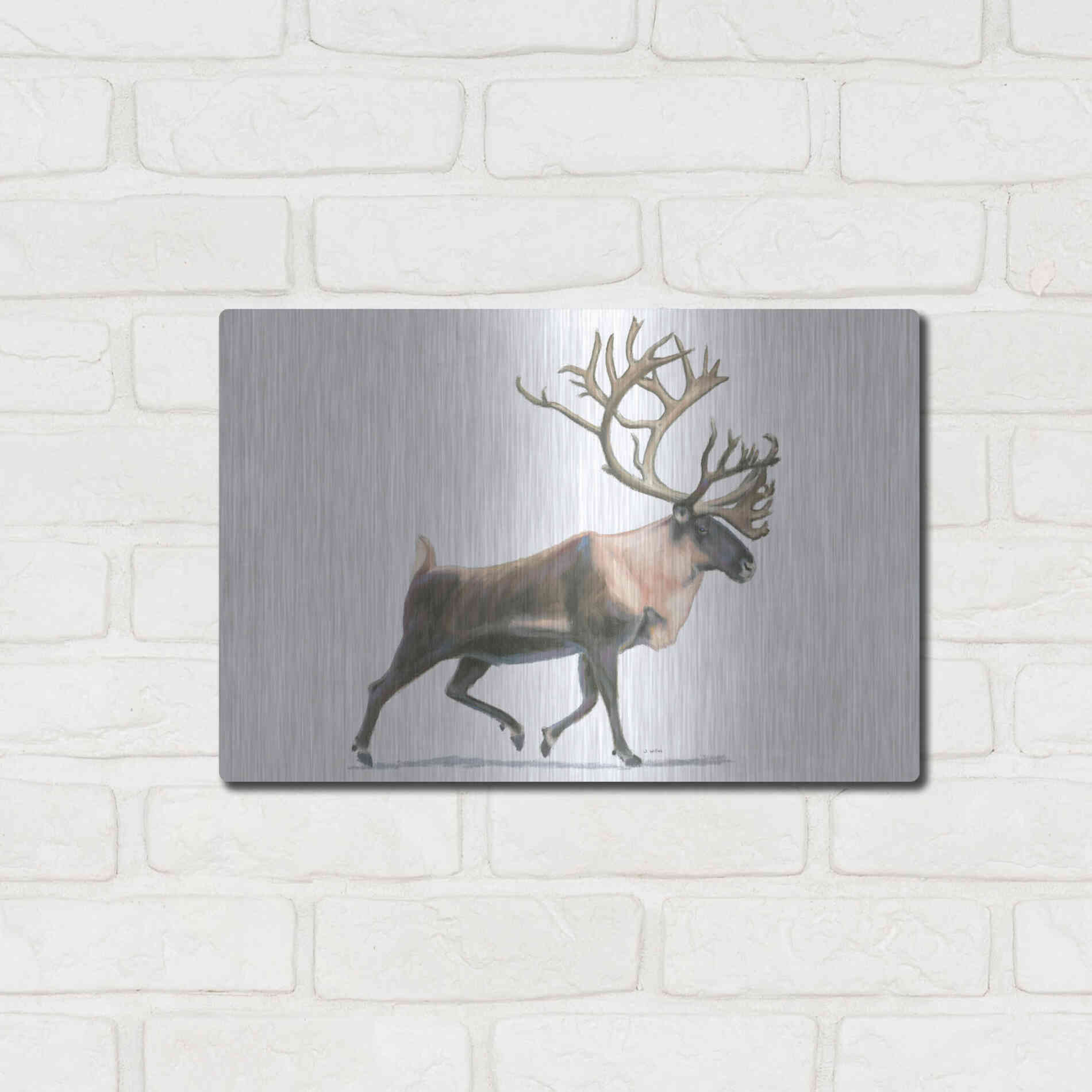 Luxe Metal Art 'Northern Wild IV' by James Wiens, Metal Wall Art,16x12
