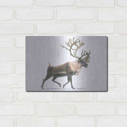Luxe Metal Art 'Northern Wild IV' by James Wiens, Metal Wall Art,16x12