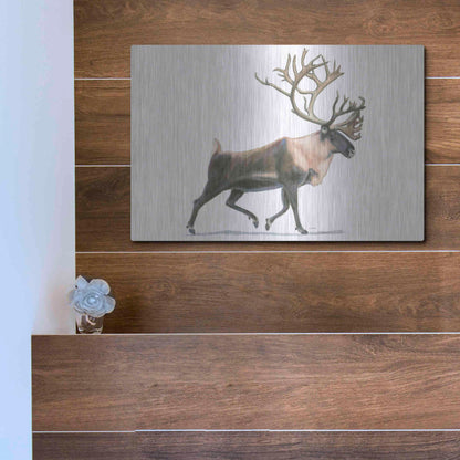 Luxe Metal Art 'Northern Wild IV' by James Wiens, Metal Wall Art,16x12