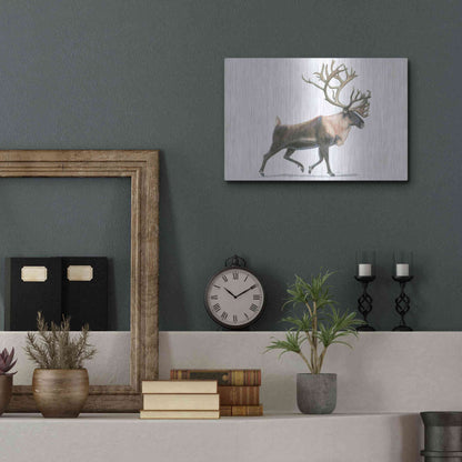 Luxe Metal Art 'Northern Wild IV' by James Wiens, Metal Wall Art,16x12