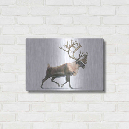 Luxe Metal Art 'Northern Wild IV' by James Wiens, Metal Wall Art,24x16