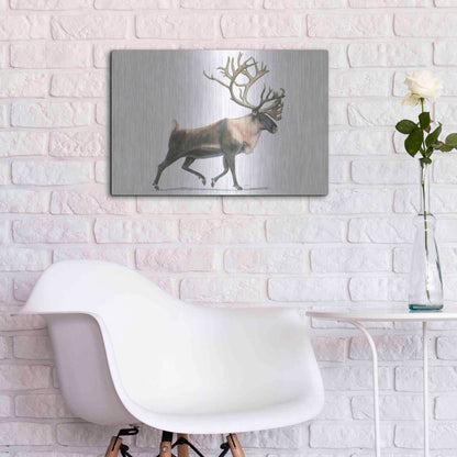 Luxe Metal Art 'Northern Wild IV' by James Wiens, Metal Wall Art,24x16
