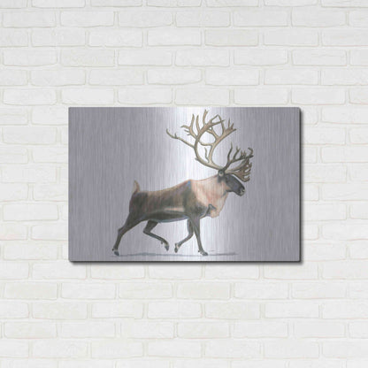Luxe Metal Art 'Northern Wild IV' by James Wiens, Metal Wall Art,36x24