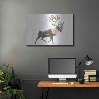 Luxe Metal Art 'Northern Wild IV' by James Wiens, Metal Wall Art,36x24