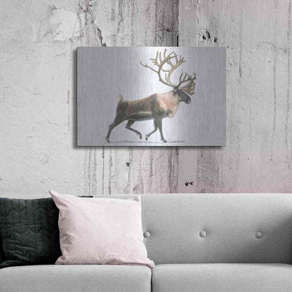 Luxe Metal Art 'Northern Wild IV' by James Wiens, Metal Wall Art,36x24