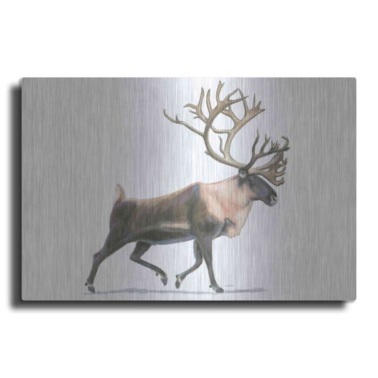 Luxe Metal Art 'Northern Wild IV' by James Wiens, Metal Wall Art
