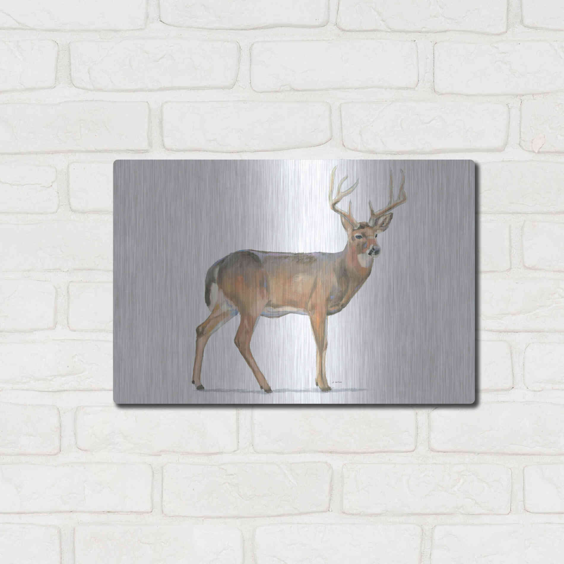 Luxe Metal Art 'Northern Wild V' by James Wiens, Metal Wall Art,16x12