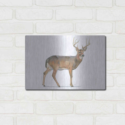 Luxe Metal Art 'Northern Wild V' by James Wiens, Metal Wall Art,16x12