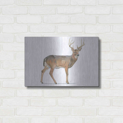 Luxe Metal Art 'Northern Wild V' by James Wiens, Metal Wall Art,24x16