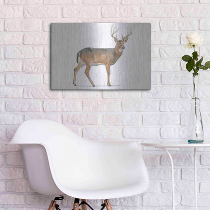 Luxe Metal Art 'Northern Wild V' by James Wiens, Metal Wall Art,24x16