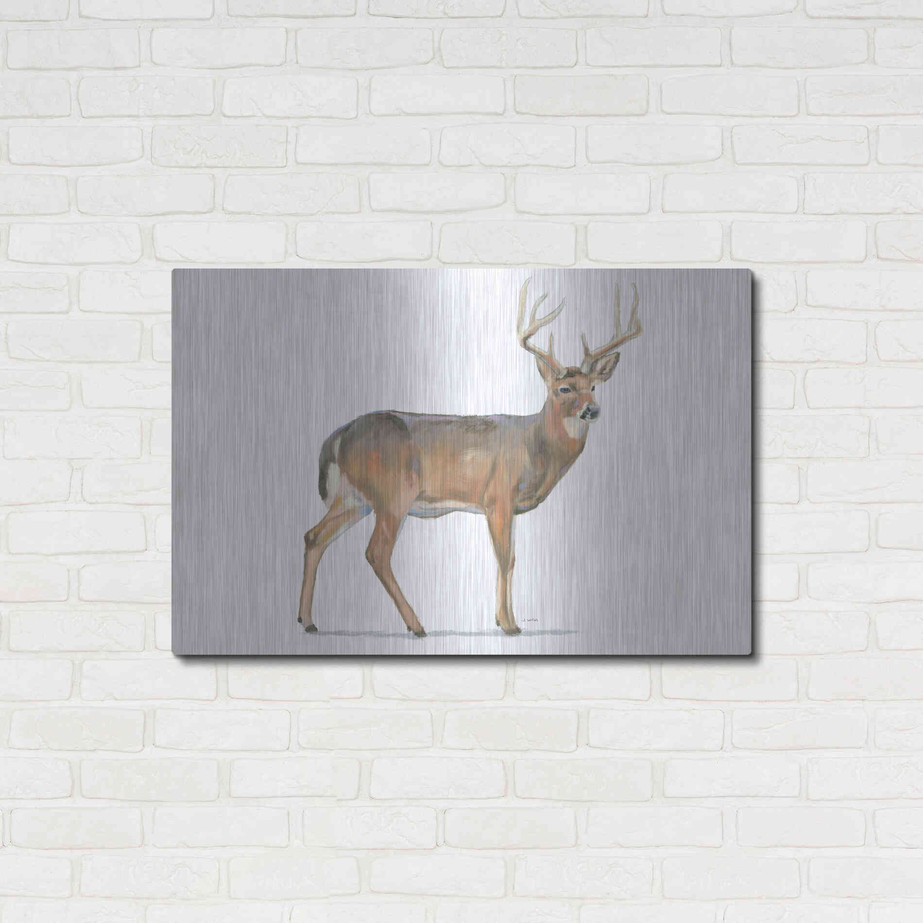 Luxe Metal Art 'Northern Wild V' by James Wiens, Metal Wall Art,36x24