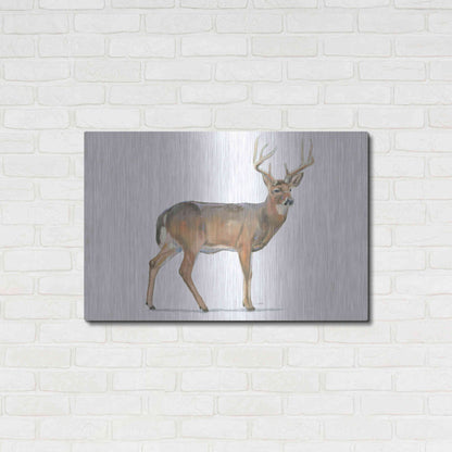 Luxe Metal Art 'Northern Wild V' by James Wiens, Metal Wall Art,36x24