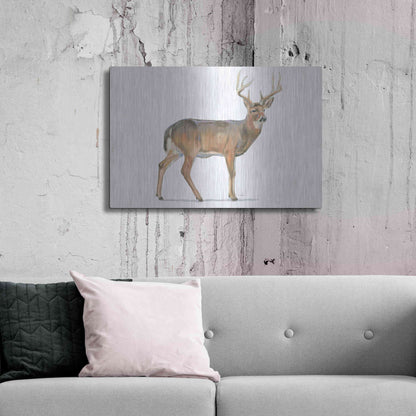 Luxe Metal Art 'Northern Wild V' by James Wiens, Metal Wall Art,36x24