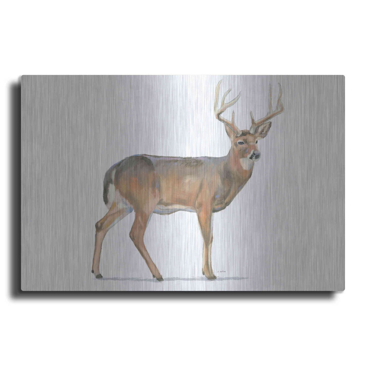 Luxe Metal Art 'Northern Wild V' by James Wiens, Metal Wall Art