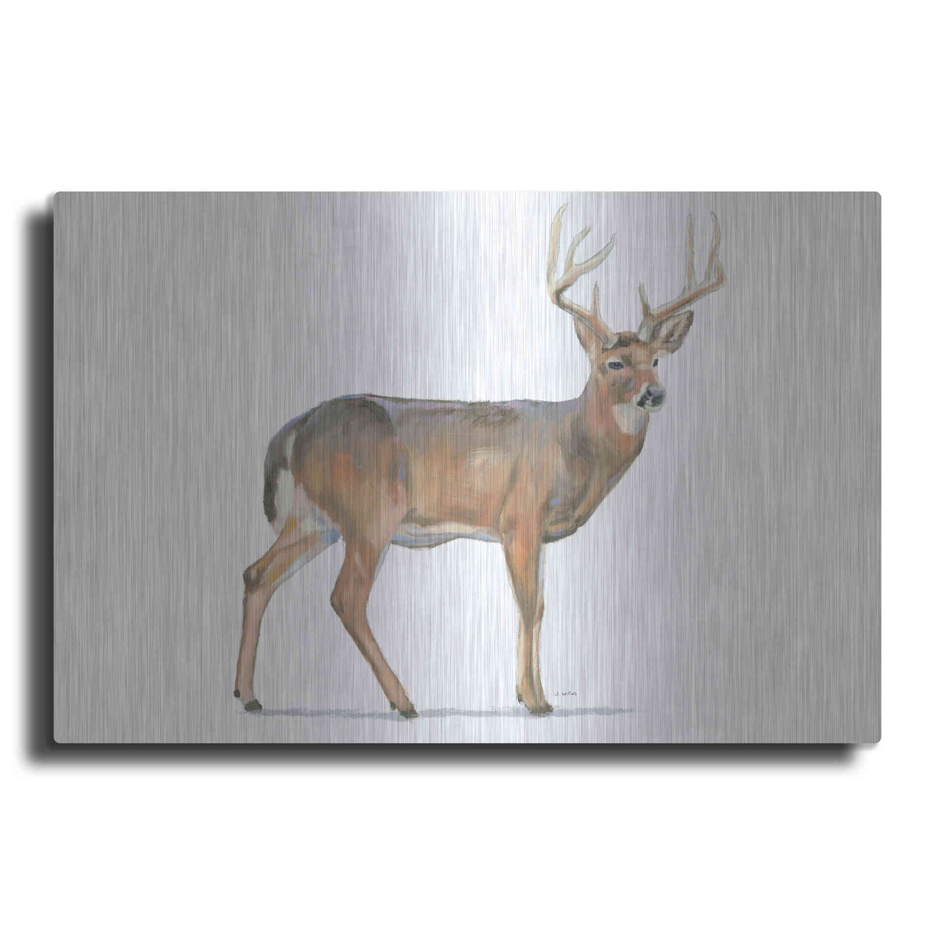 Luxe Metal Art 'Northern Wild V' by James Wiens, Metal Wall Art
