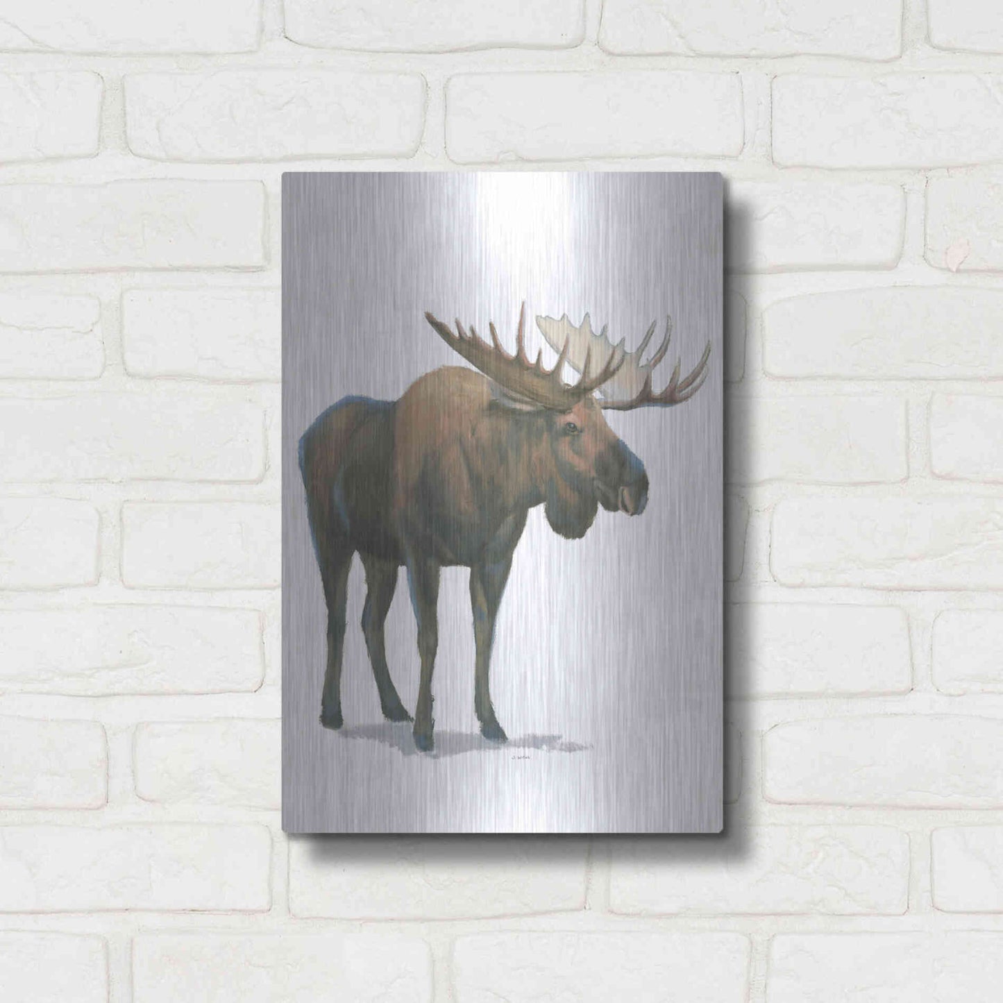 Luxe Metal Art 'Northern Wild VI' by James Wiens, Metal Wall Art,12x16