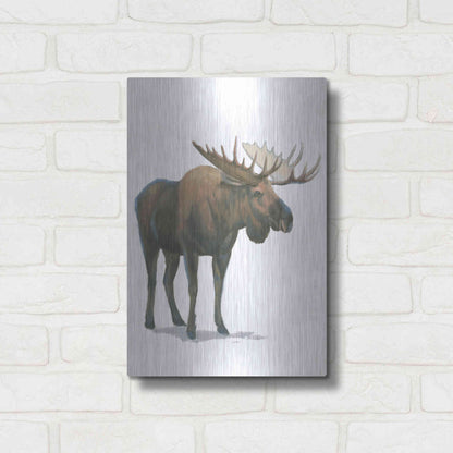 Luxe Metal Art 'Northern Wild VI' by James Wiens, Metal Wall Art,12x16