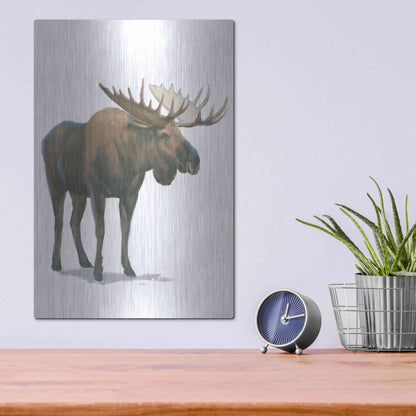 Luxe Metal Art 'Northern Wild VI' by James Wiens, Metal Wall Art,12x16