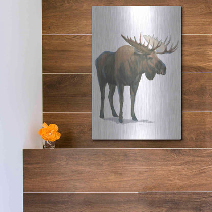 Luxe Metal Art 'Northern Wild VI' by James Wiens, Metal Wall Art,12x16