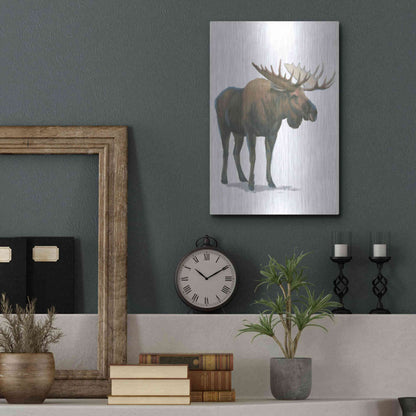 Luxe Metal Art 'Northern Wild VI' by James Wiens, Metal Wall Art,12x16
